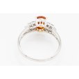 PT900 スペサルティンガーネットダイアイリリング 1.31ct 0.24ct 3.80g　内側